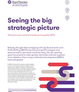 Seeing the big strategic picture - report cover
