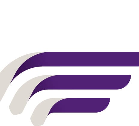 illustration purple