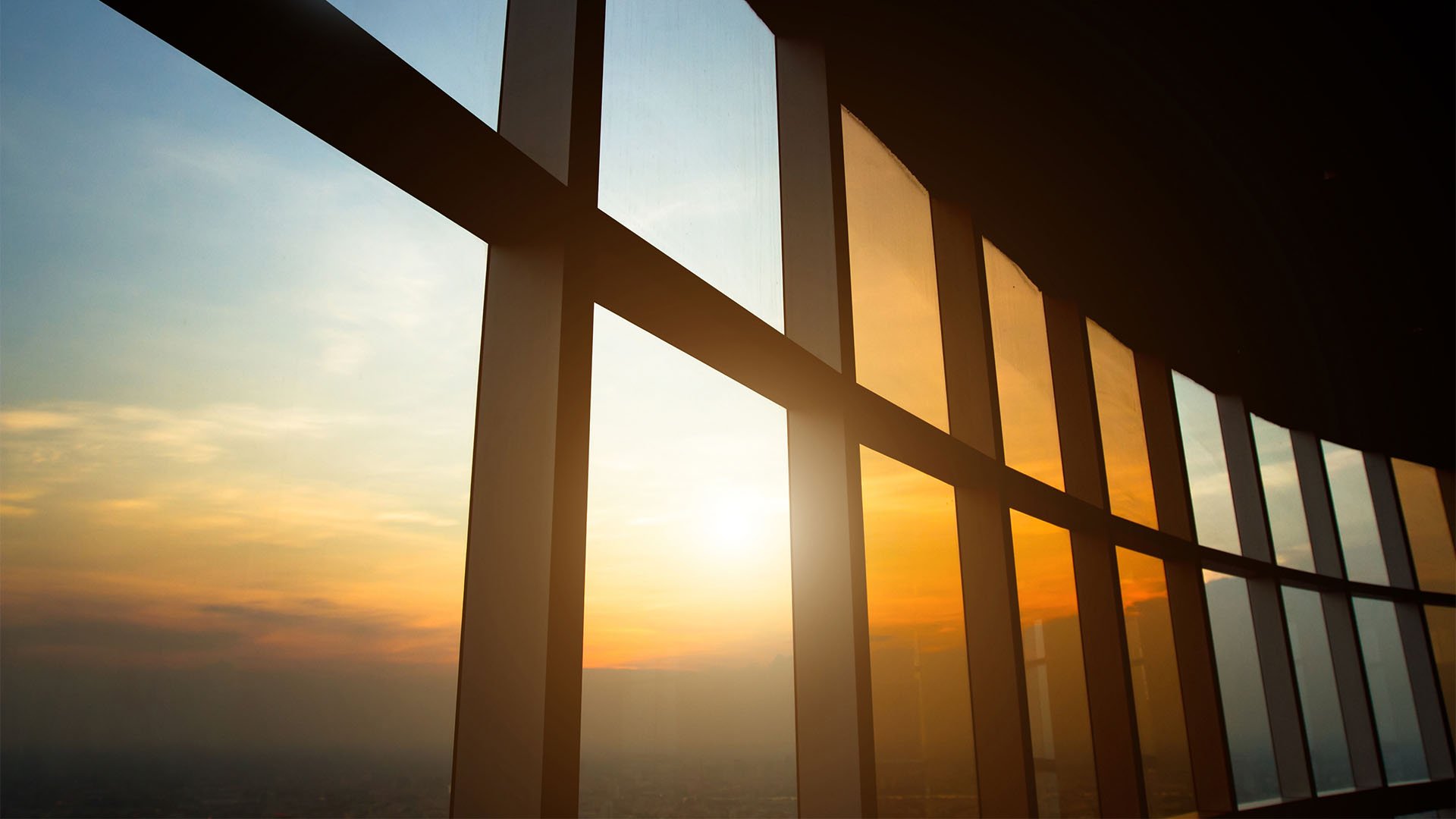 insight featured image