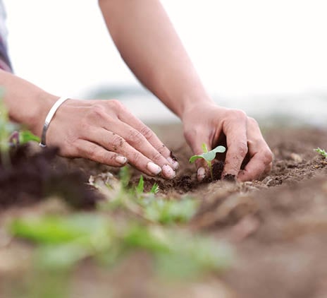 Generic illustration