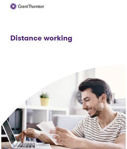 Preview per brochure "Distance Working"