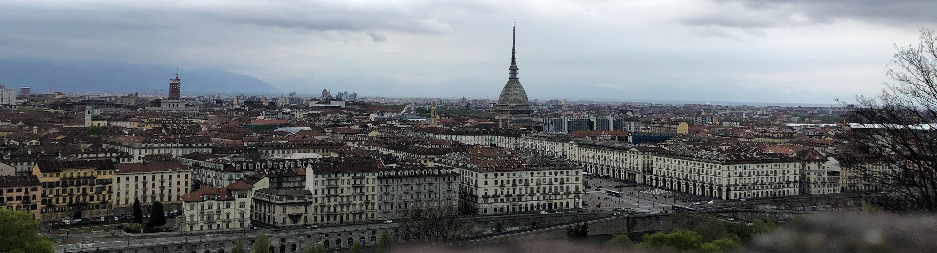 torino image