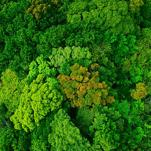 ESG: la sfida che dobbiamo accettare